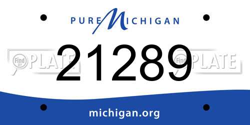 21289 Michigan License Plate