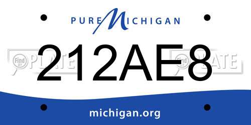212AE8 Michigan License Plate