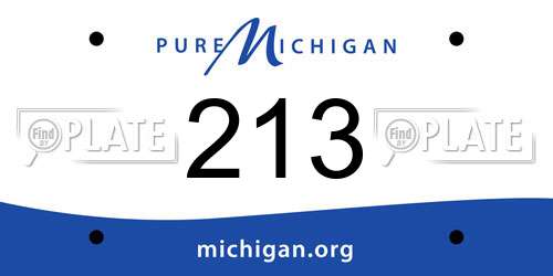 213 Michigan License Plate