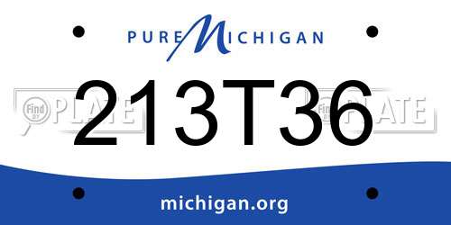 213T36 Michigan License Plate