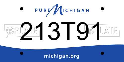 213T91 Michigan License Plate