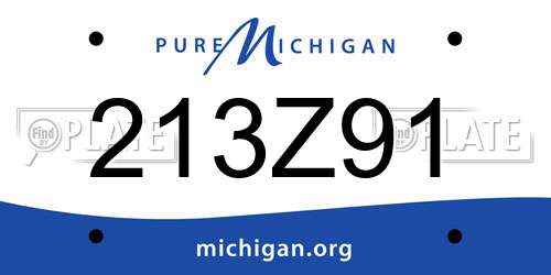 213Z91 Michigan License Plate