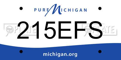 215EFS Michigan License Plate