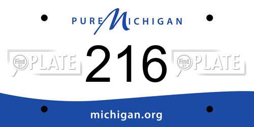 216 Michigan License Plate