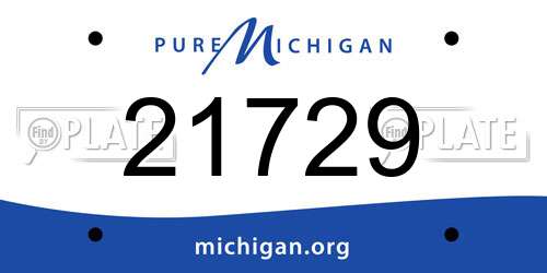 21729 Michigan License Plate