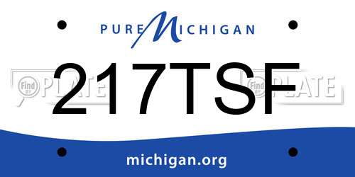 217TSF Michigan License Plate