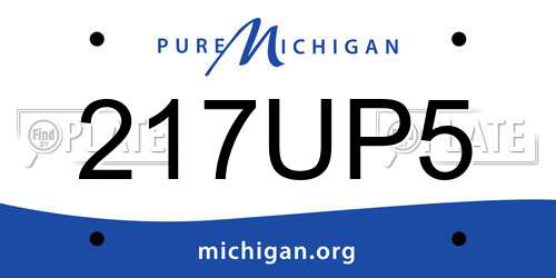 217UP5 Michigan License Plate