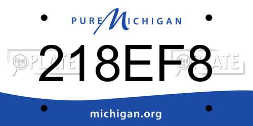 218EF8 Michigan License Plate