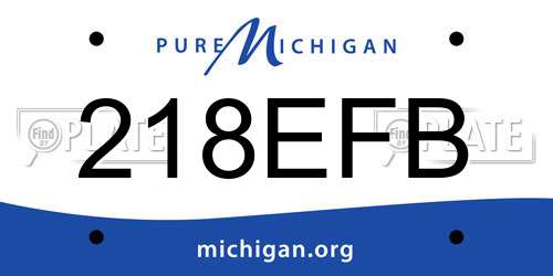 218EFB Michigan License Plate