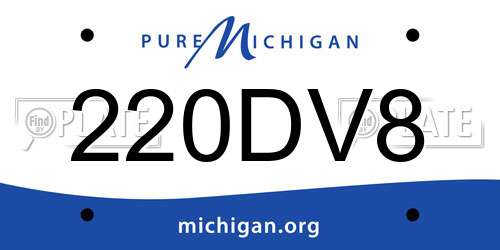 220DV8 Michigan License Plate