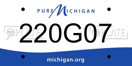 220G07 Michigan License Plate