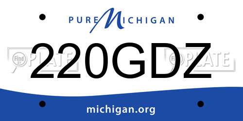 220GDZ Michigan License Plate