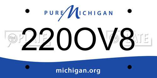 220OV8 Michigan License Plate