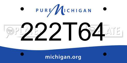 222T64 Michigan License Plate