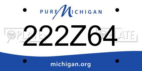 222Z64 Michigan License Plate