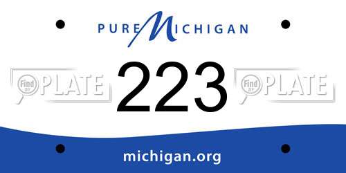 223 Michigan License Plate