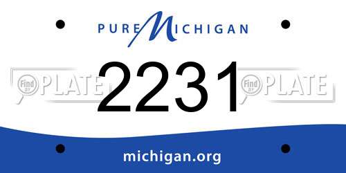 2231 Michigan License Plate