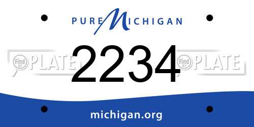 2234 Michigan License Plate
