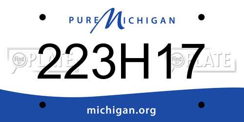 223H17 Michigan License Plate