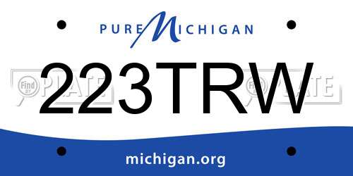 223TRW Michigan License Plate