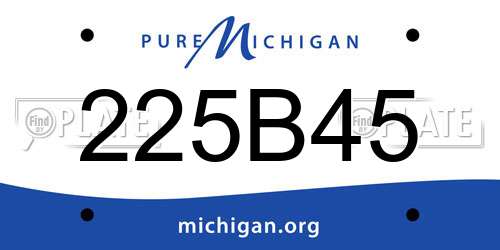 225B45 Michigan License Plate