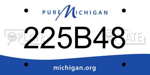 225B48 Michigan License Plate