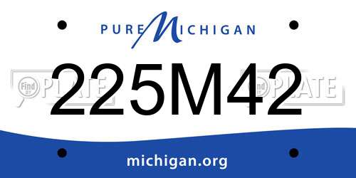 225M42 Michigan License Plate