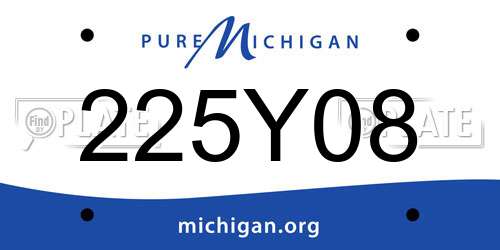 225Y08 Michigan License Plate