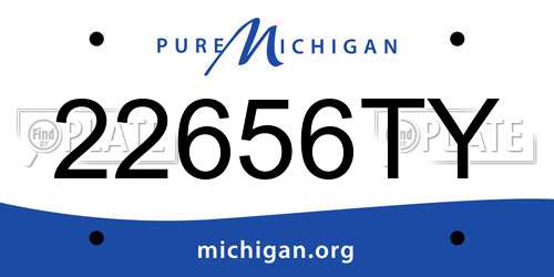 22656TY Michigan License Plate