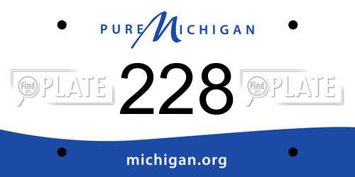 228 Michigan License Plate