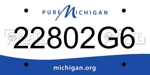 22802G6 Michigan License Plate