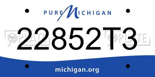 22852T3 Michigan License Plate