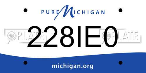 228IE0 Michigan License Plate