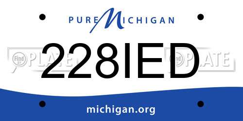 228IED Michigan License Plate