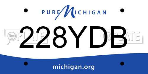 228YDB Michigan License Plate
