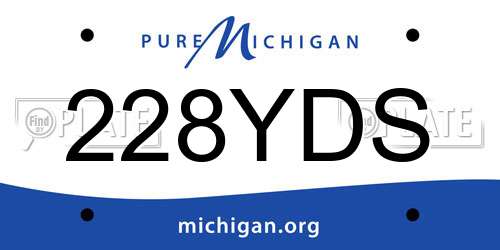 228YDS Michigan License Plate