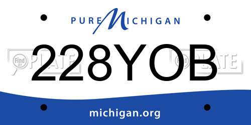 228YOB Michigan License Plate