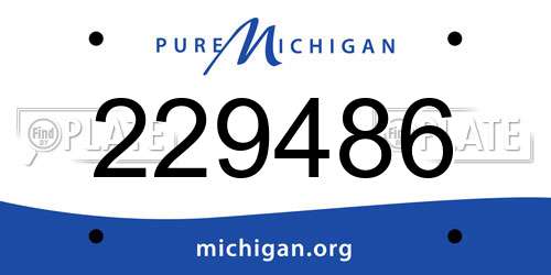 229486 Michigan License Plate