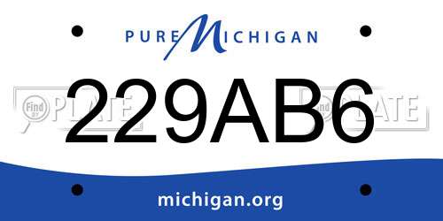 229AB6 Michigan License Plate