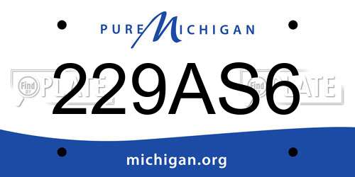 229AS6 Michigan License Plate
