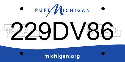 229DV86 Michigan License Plate
