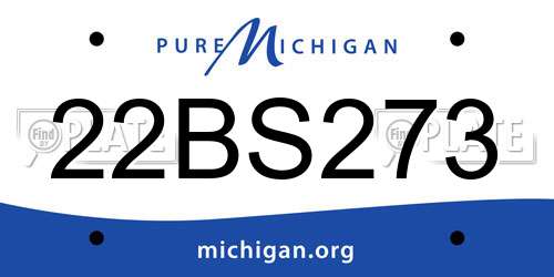 22BS273 Michigan License Plate