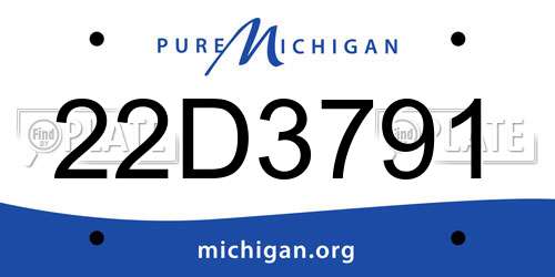 22D3791 Michigan License Plate