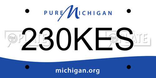 230KES Michigan License Plate