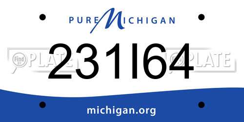 231I64 Michigan License Plate