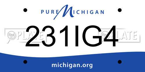 231IG4 Michigan License Plate