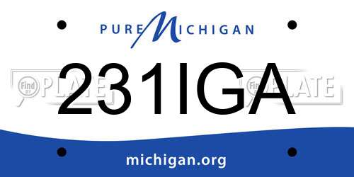 231IGA Michigan License Plate