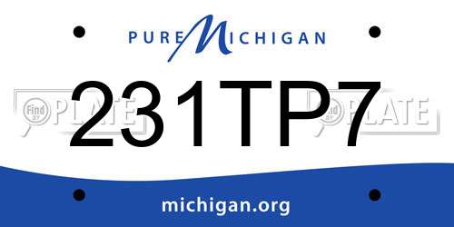 231TP7 Michigan License Plate