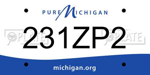 231ZP2 Michigan License Plate