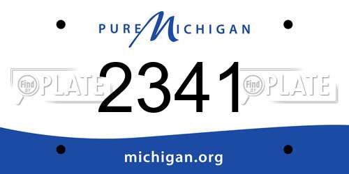 2341 Michigan License Plate